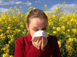 MSM and Allergies
