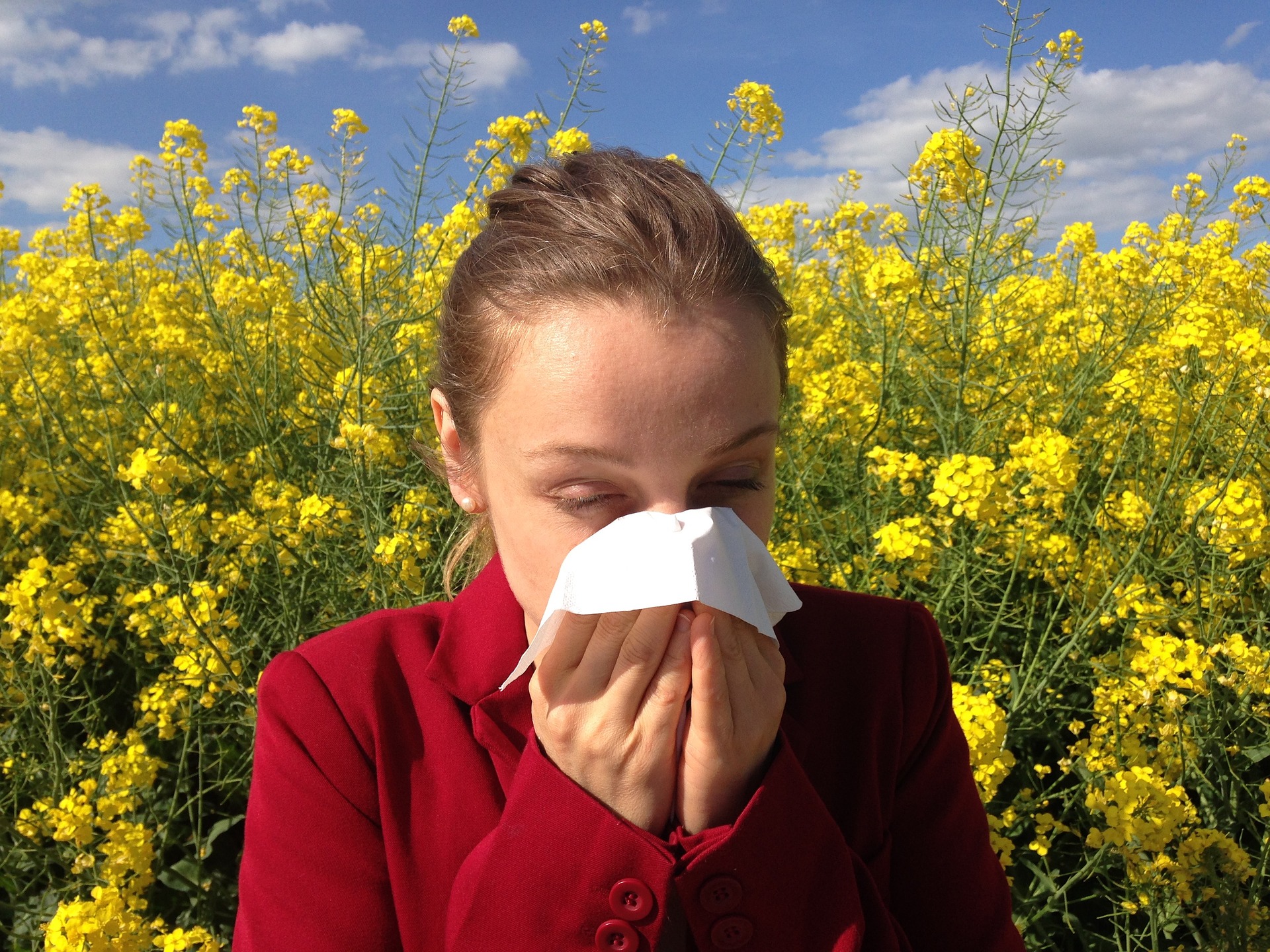 MSM and Allergies