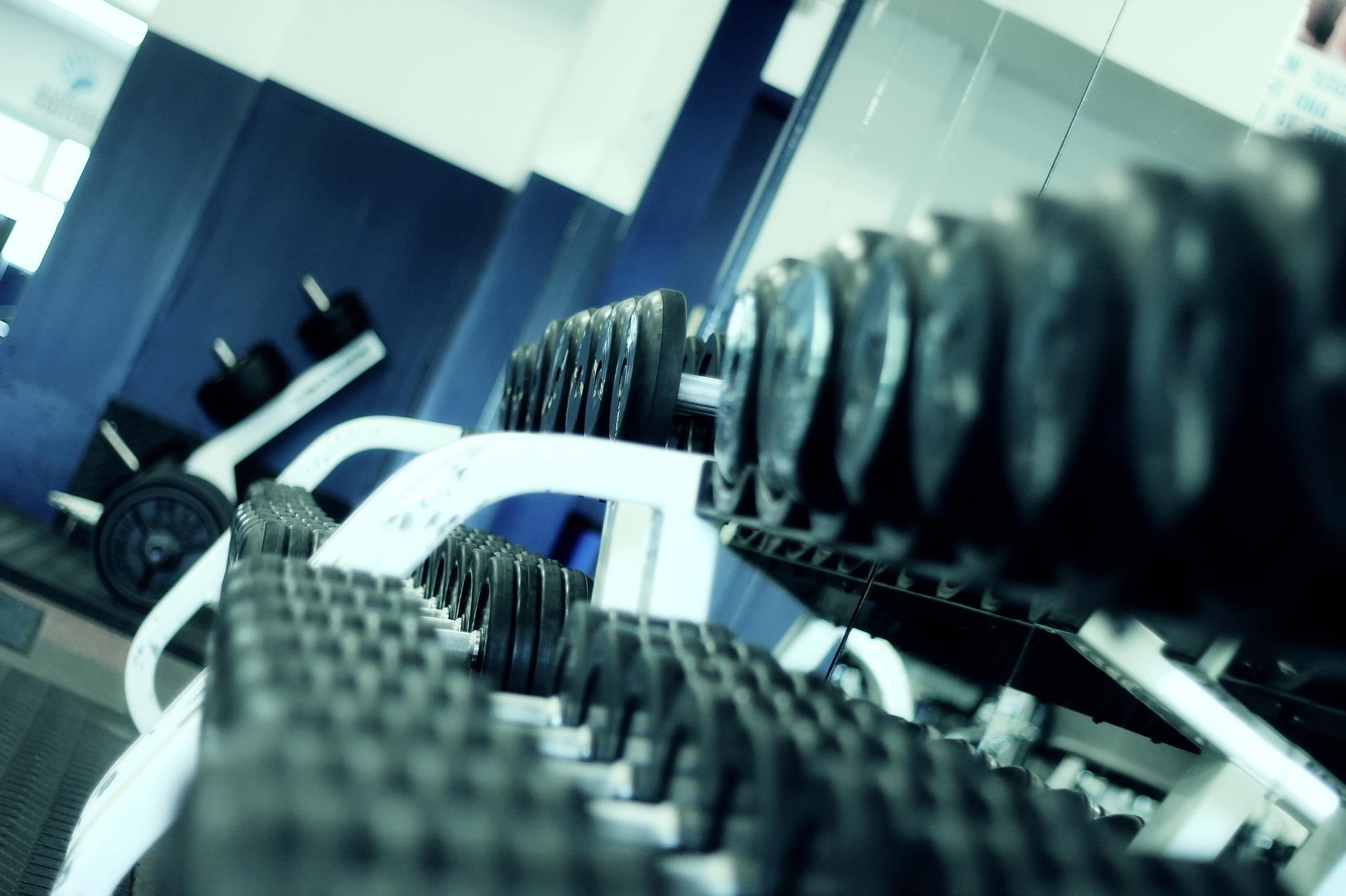 Free Weights