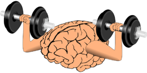 Mind Muscle Connetion