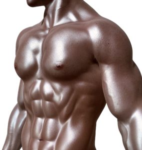 Ripped Muscle