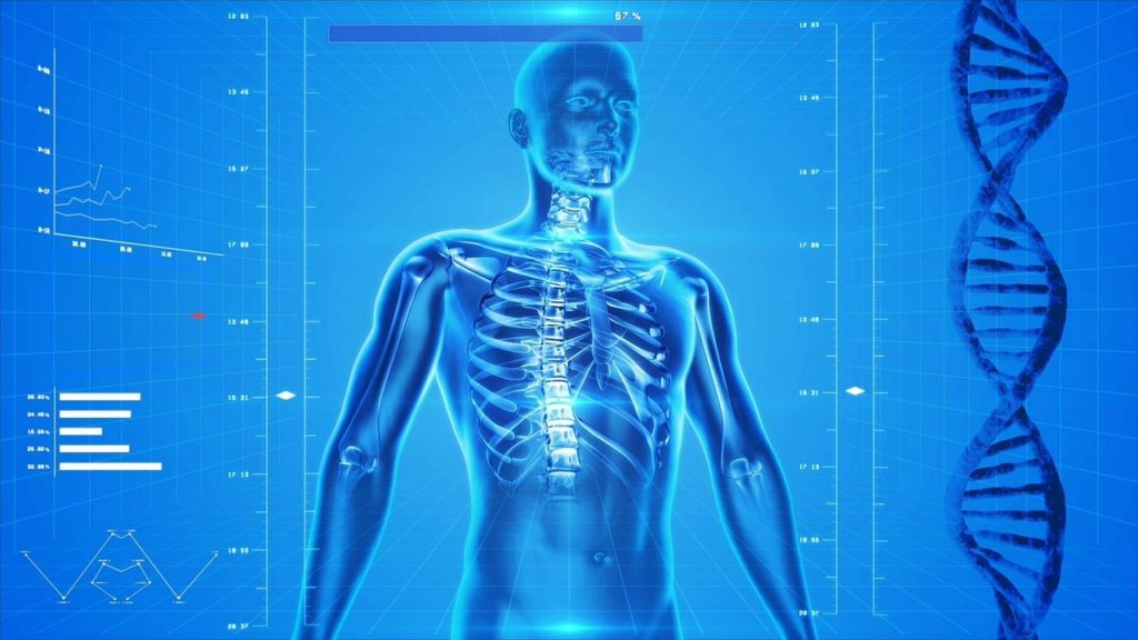 DNA Weight Loss Program